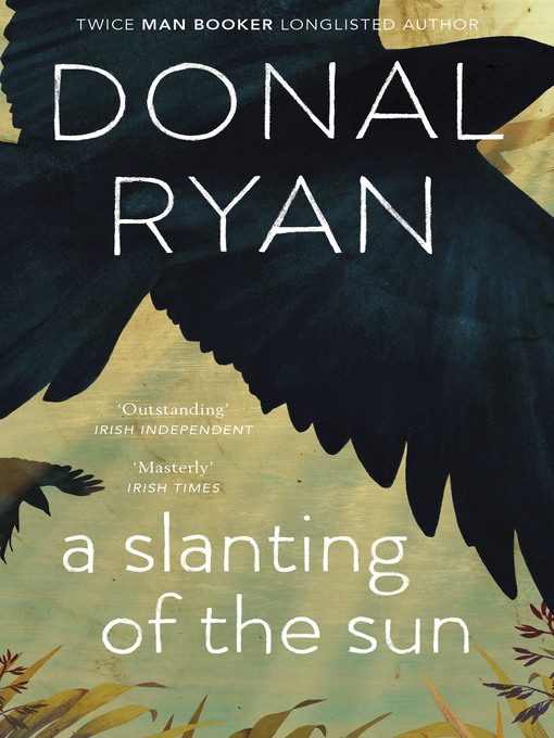 Cover image for A Slanting of the Sun
